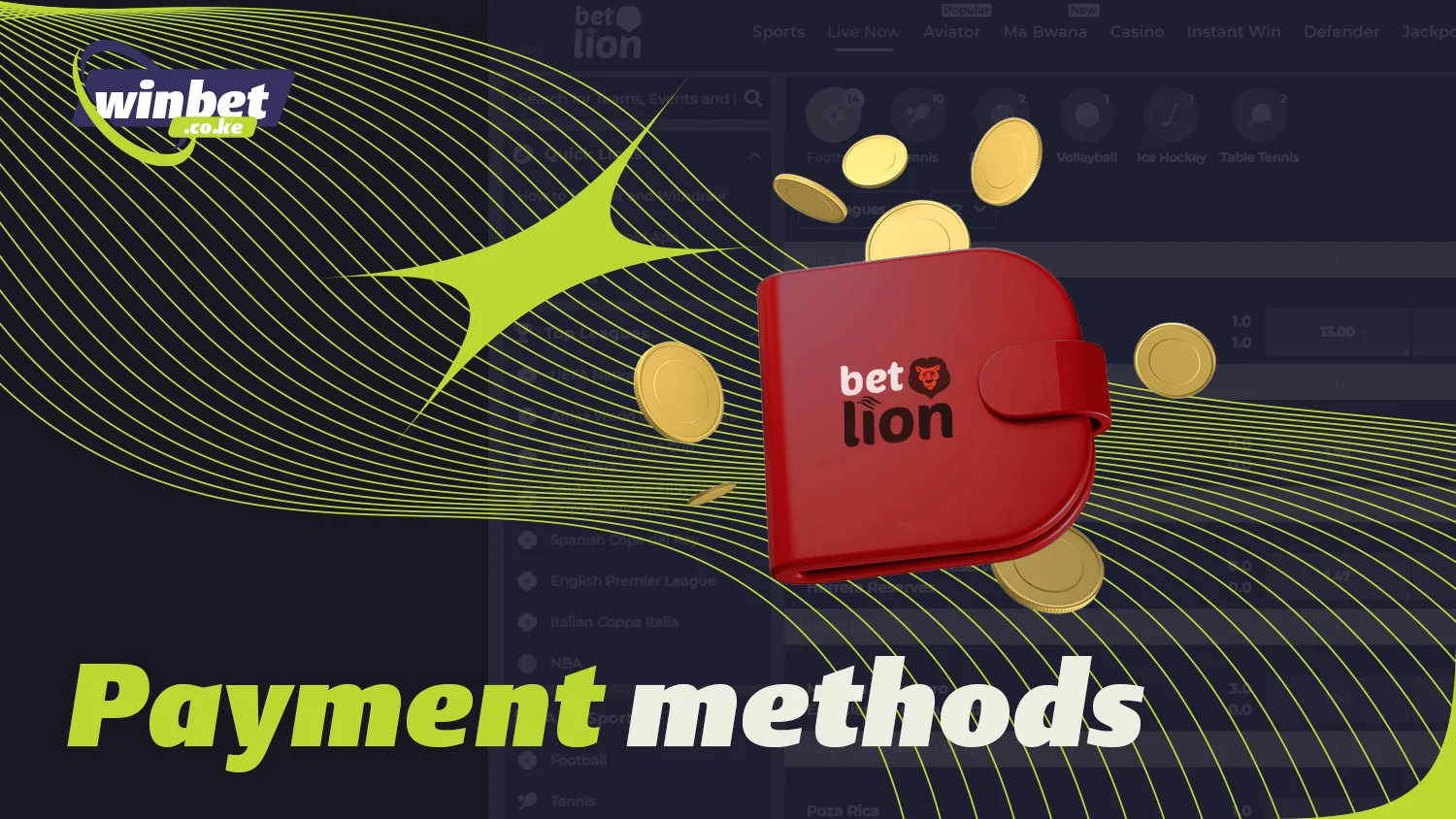 The usual payment methods are available at BetLion Kenya