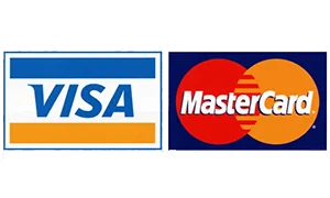 Bank Credit and Debit Cards icone pay