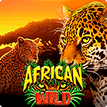 African Wild