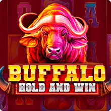 Buffalo Hold and Win game icon