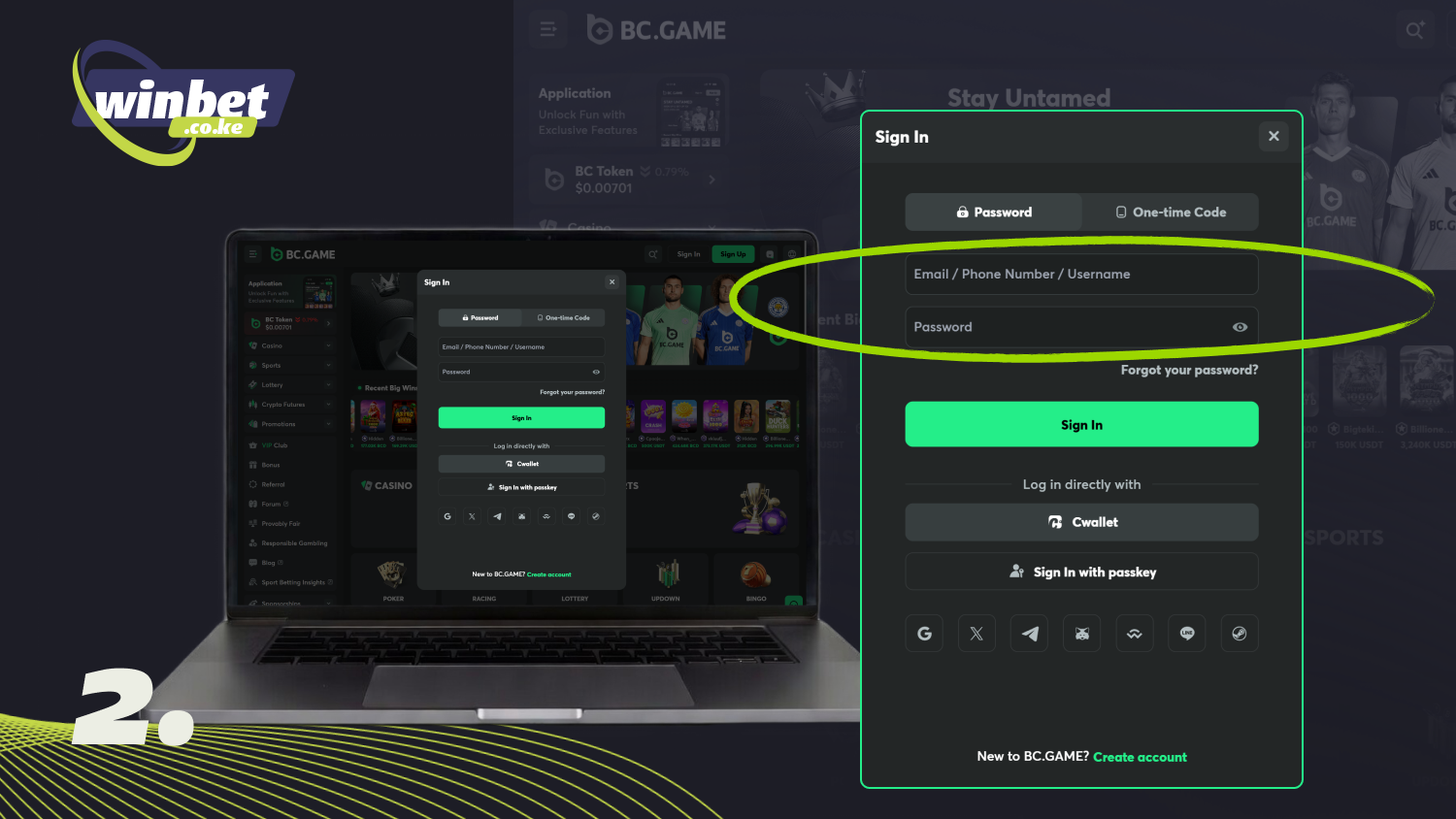 Enter your phone number or email address and password to log in to your BC Game account