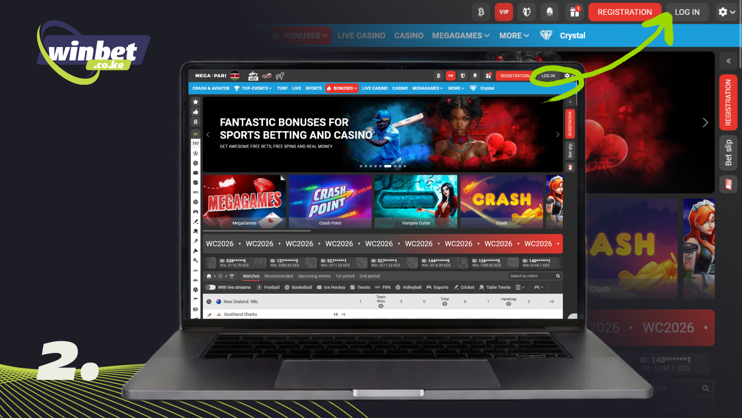 Click Log In to log in to your Megapari account